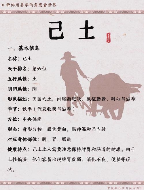 己土生于戌月，天地五行交汇的贵人力量插图