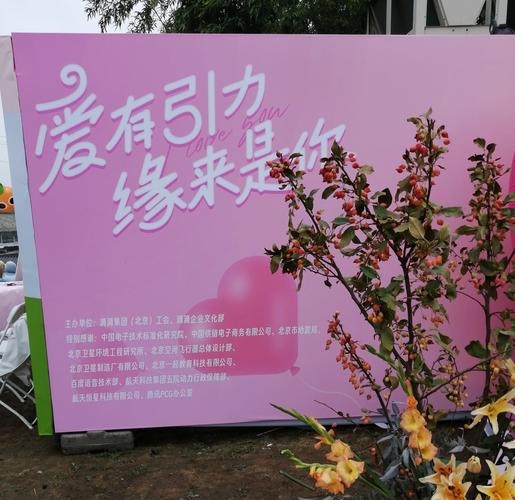 济南富豪相亲会，开启财富与情感的双向探索之旅插图