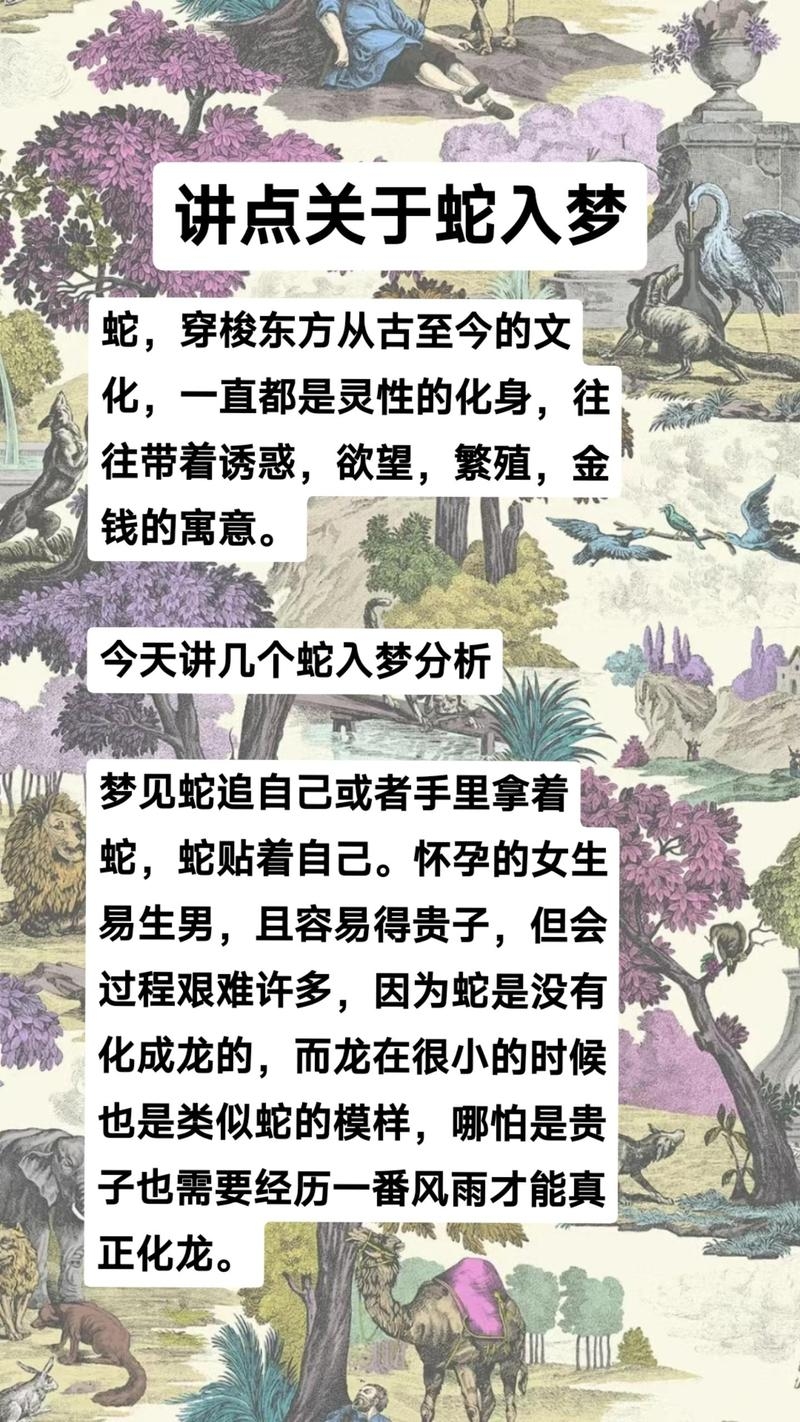 解析梦境中的蛇，梦见蛇是怎么回事？插图