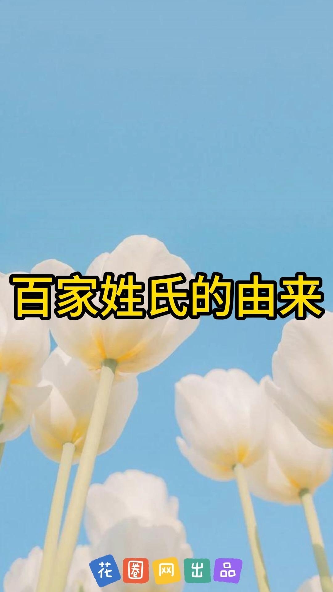 家族名字大全，探寻姓氏背后的故事与意义插图