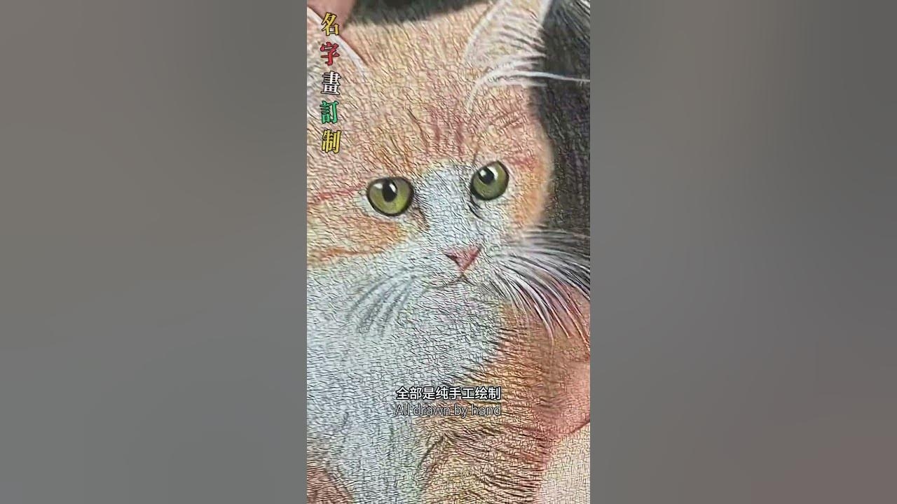 精心设计名字，书写独特人生篇章插图