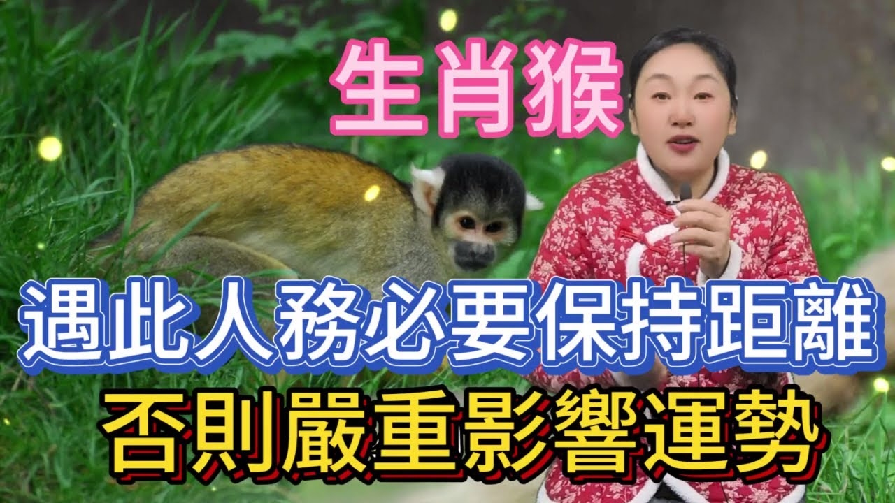 见异思迁的生肖—猴插图 见异思迁的生肖—猴插图