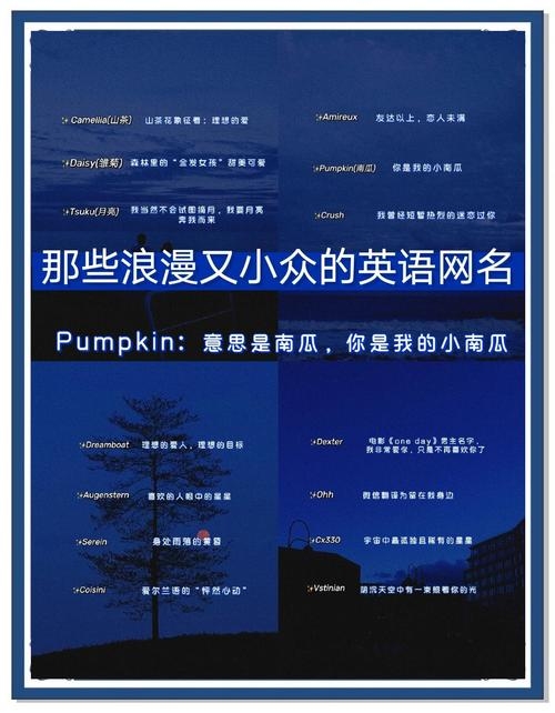 精选网站名称大全，从创意到实用的命名灵感插图