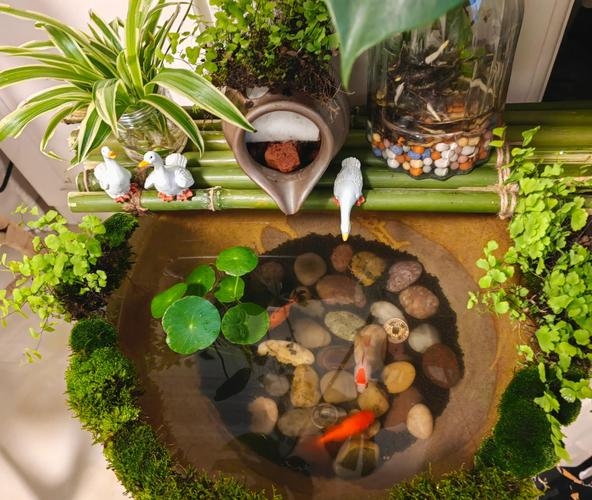 金鱼缸风水，探寻家居与水景的和谐之道插图