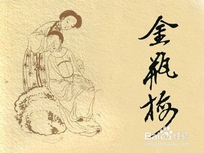 金瓶梅高清百度影音，探索古典文学的视觉盛宴插图