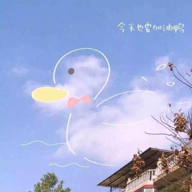 精选英文网名，优雅的视觉符号与情感密码插图