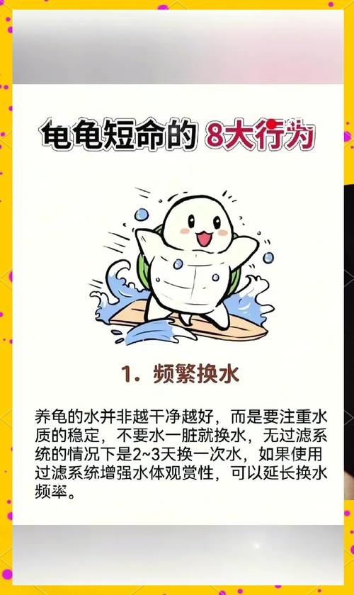 家里养龟十大禁忌插图 家里养龟十大禁忌插图