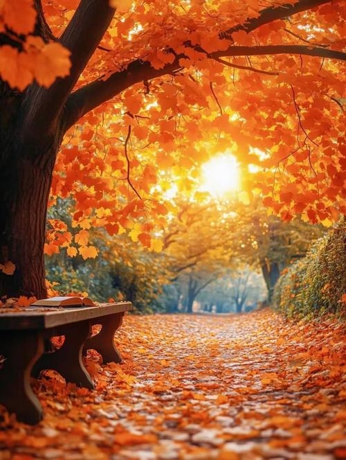 九月二十九，秋意渐浓的静谧之日插图