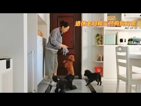 家中宠物的一生,肖宠记插图 家中宠物的一生,肖宠记插图