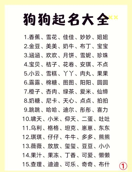 可爱狗名字，为你的萌宠挑选一个独特而温馨的名字插图