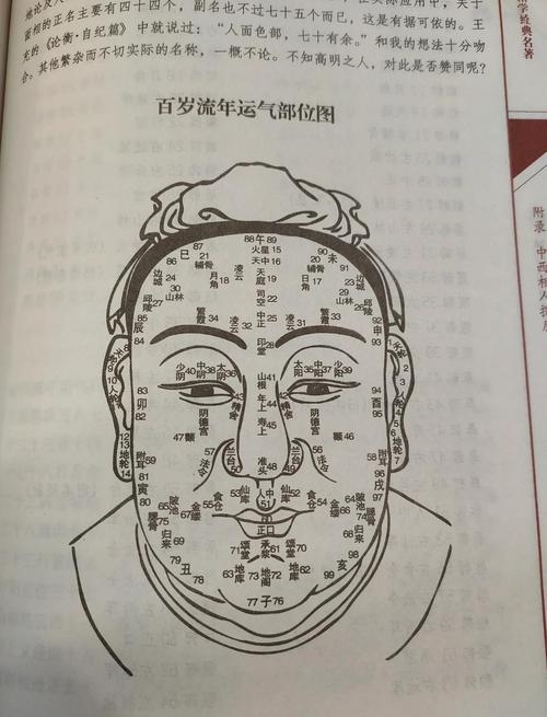 看面相算命图解，解锁古老智慧的钥匙插图