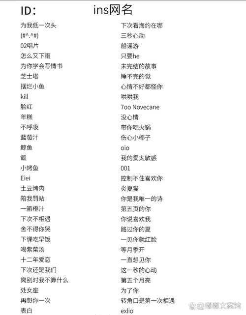 快手名字大全，灵感与选美指南插图