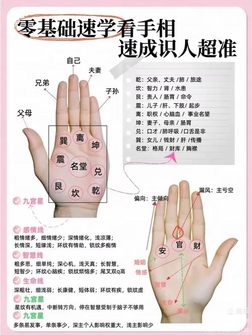 看手相准吗？这些准还是假的？插图