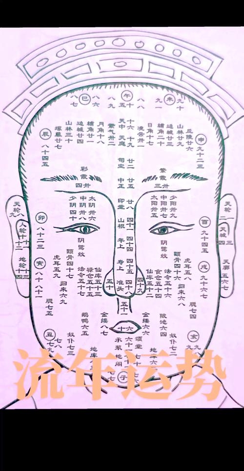 看相算命图解，古老智慧的现代解读插图