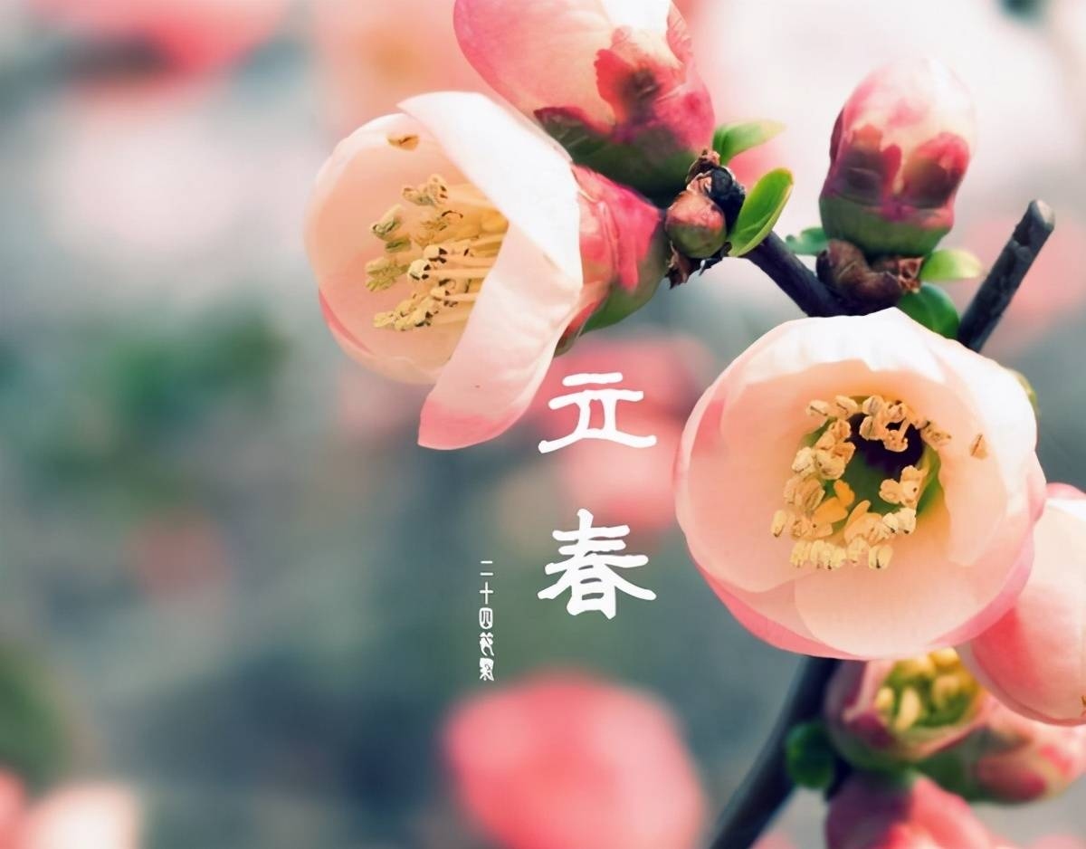 立春时刻揭秘，2021年立春具体时间插图