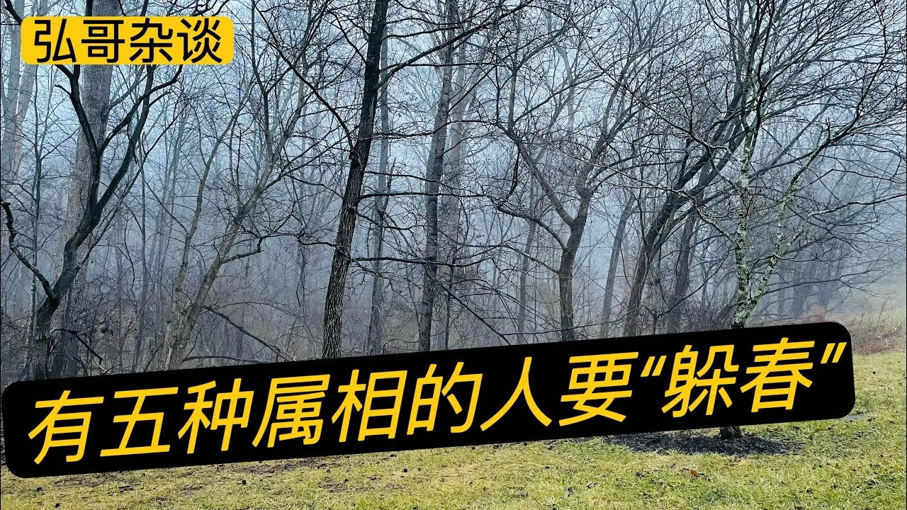 立春躲春的属相，春风化雨的传统文化密码插图