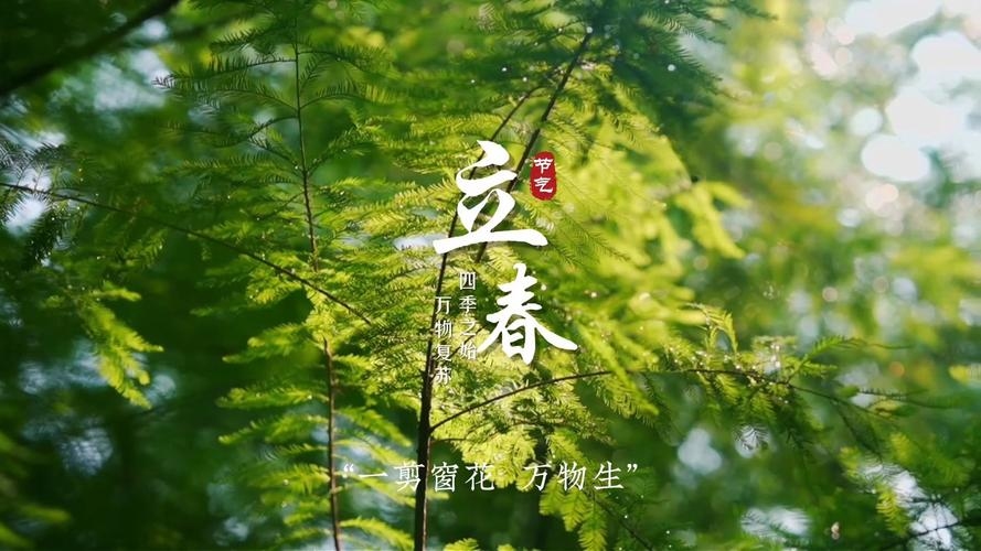 立春剪发需谨慎插图