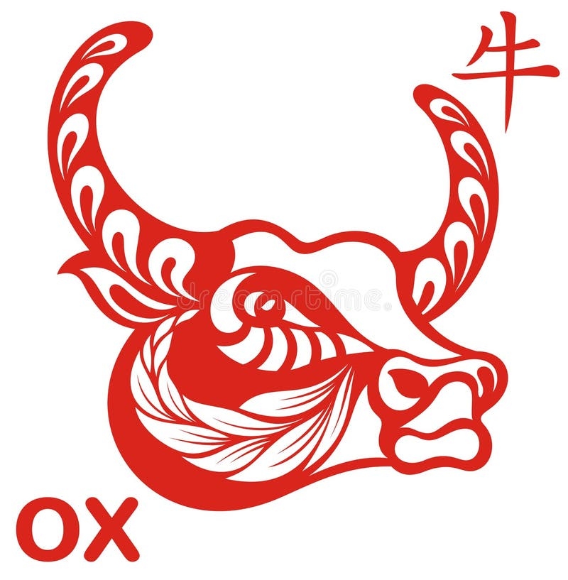 落地生根,生肖牛的坚韧与适应力象征插图 落地生根,生肖牛的坚韧与适应力象征插图