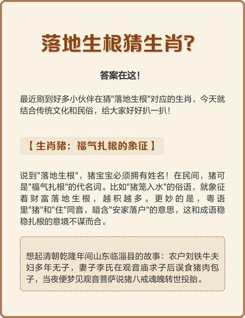 落地生根与生肖之谜，揭秘属于哪一肖的神秘面纱插图