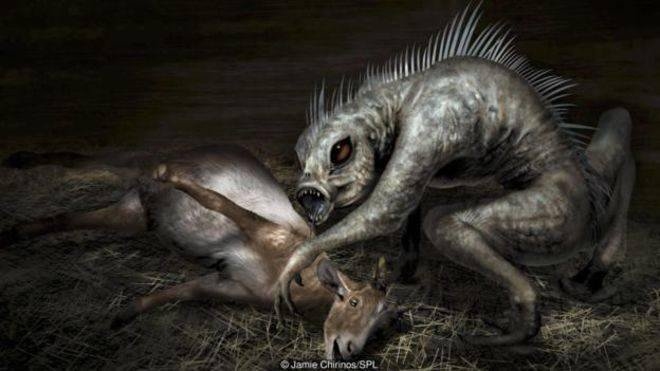 林寒洞肃，探寻背后的神秘动物插图