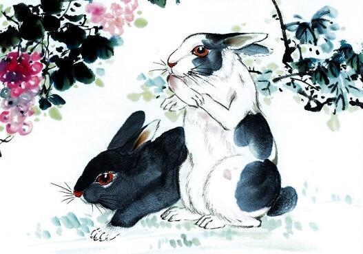 来去自如的动物与生肖之谜插图