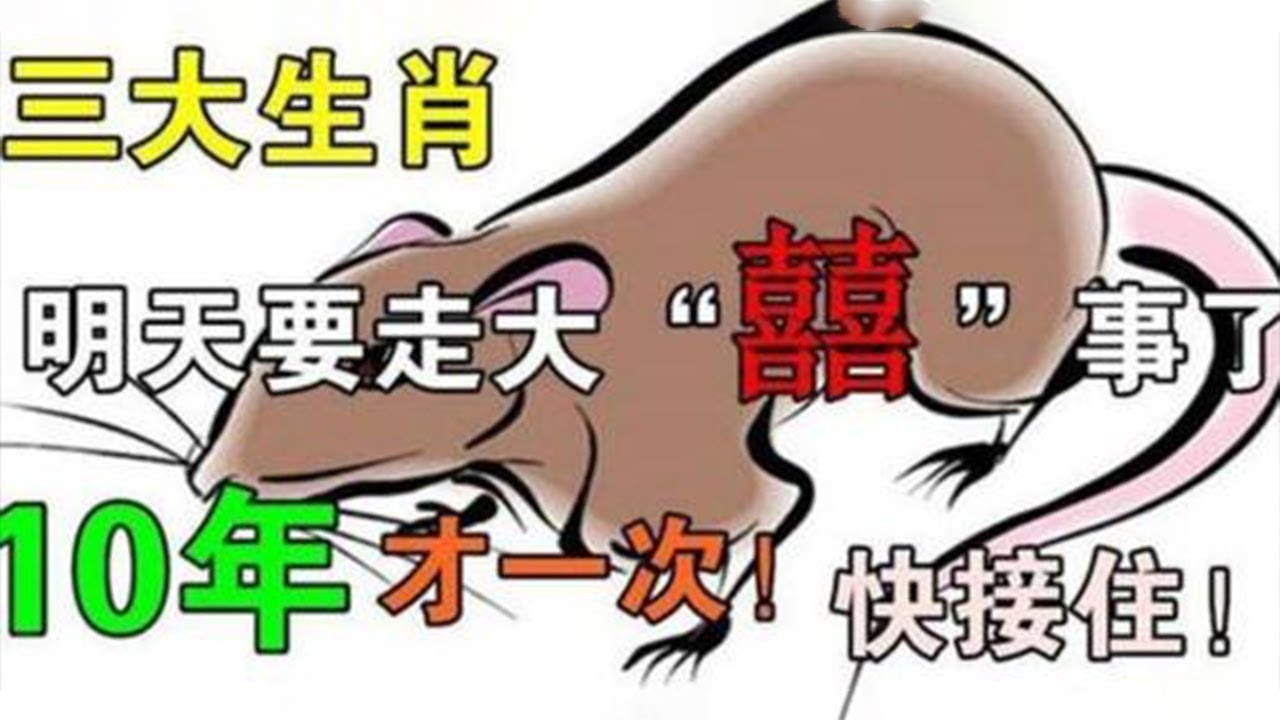 来日方长与生肖的奇妙缘分—探寻属于生肖的长远未来插图 来日方长与生肖的奇妙缘分—探寻属于生肖的长远未来插图