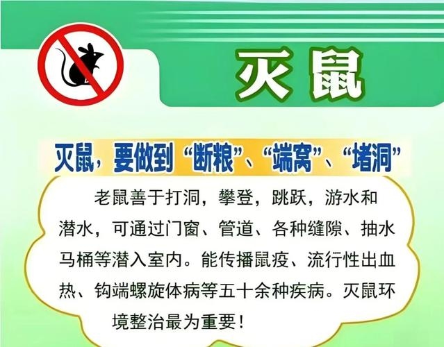 历史上鼠年灾难的警示与反思插图
