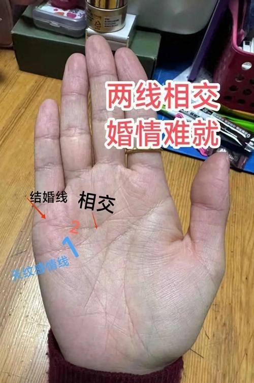 两条感情线，交织的宿命与选择插图