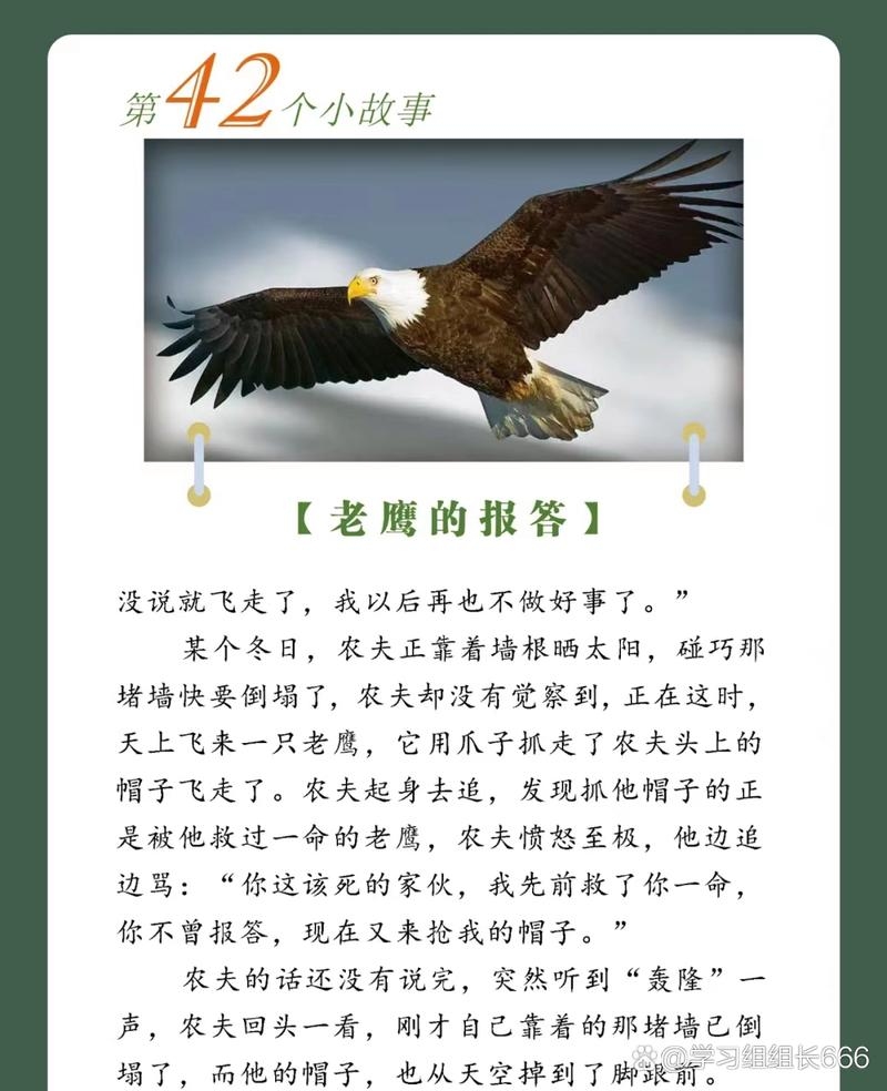 老鹰报复捕鸟者，村民受伤连连插图