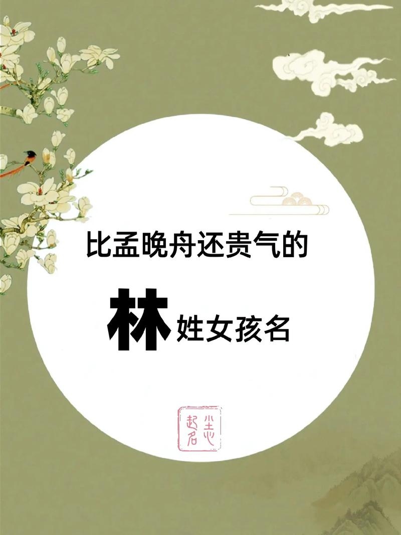 林姓古风清雅的名字之美插图
