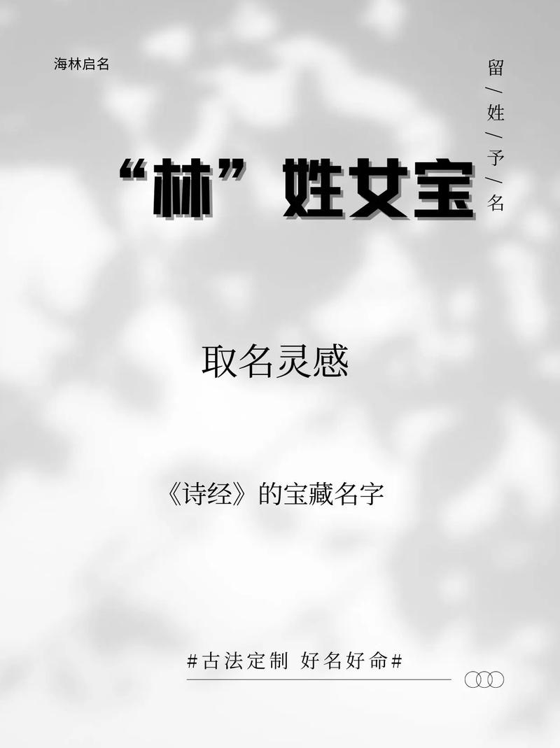 林姓名字大全,从古典雅致到现代时尚的命名灵感插图 林姓名字大全,从古典雅致到现代时尚的命名灵感插图