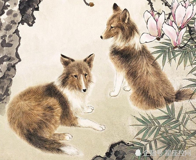 老谋深算的动物生肖—生肖智慧之谜插图