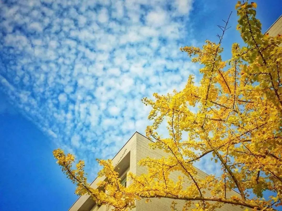 立秋时刻，2019年的秋天悄然来临插图