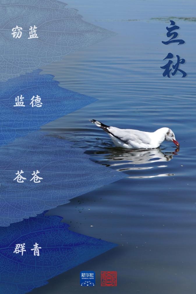 立秋时刻，探寻2023年的秋分时刻插图