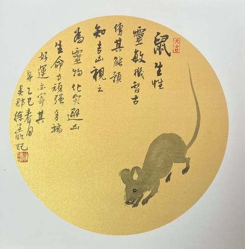 老鼠,传统文化中的做贼心虚代表生肖插图 老鼠,传统文化中的做贼心虚代表生肖插图