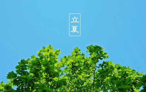 立夏，天文物候与习俗的交汇插图