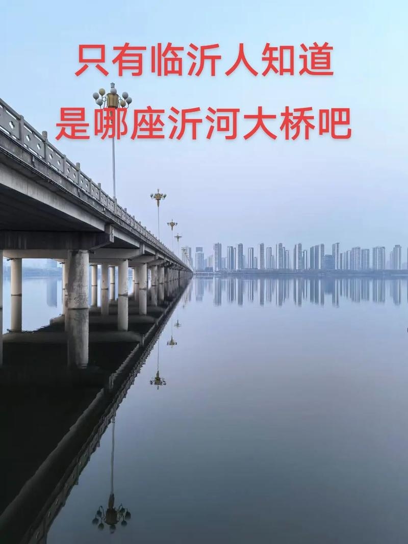 临沂聊天室，连接心灵的桥梁插图