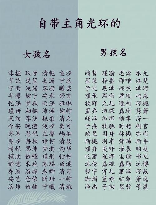 龙宝宝男孩取名宝典插图