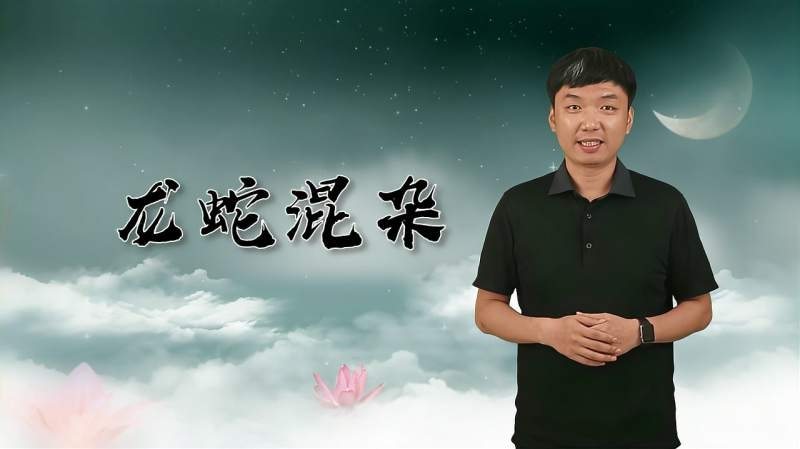 龙蛇混杂生肖探秘插图
