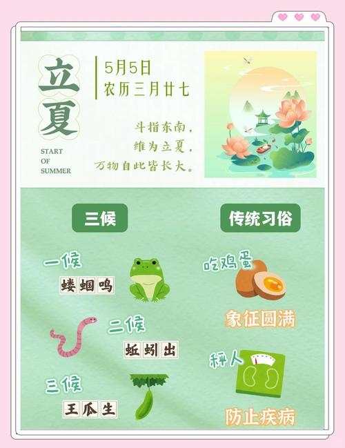 立夏要称体重，把握健康与活力的关键时刻插图