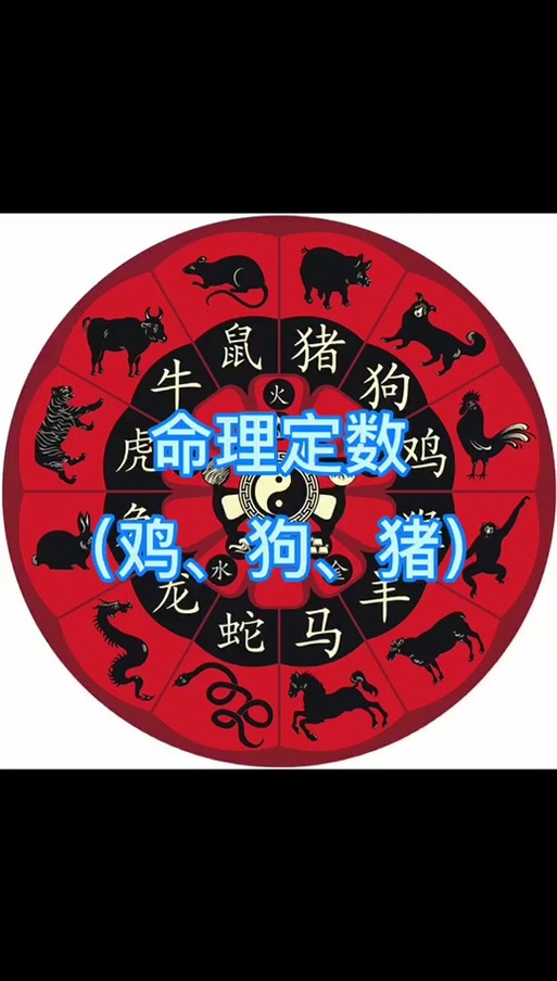 楼宿之鸡的寓意与解读插图