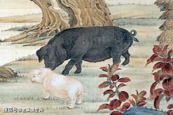 乐在其中指生肖猪,悠闲富足的象征插图 乐在其中指生肖猪,悠闲富足的象征插图