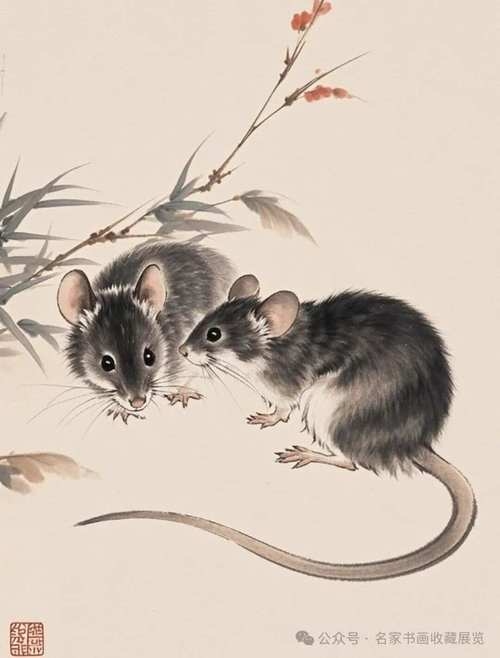 明察秋毫的生肖—生肖鼠插图