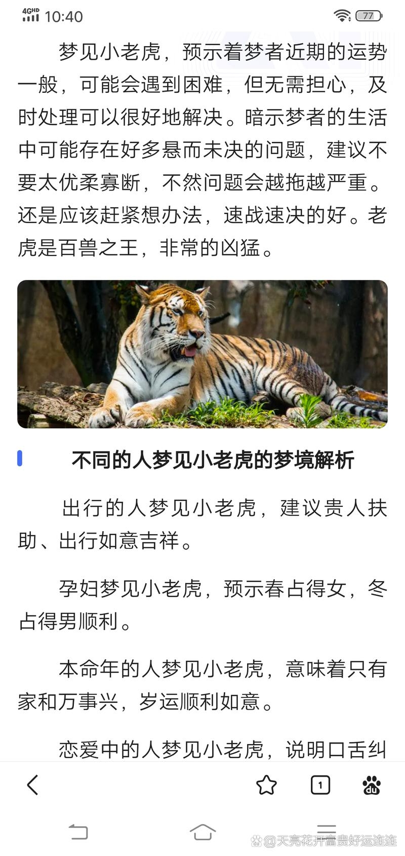 梦到打死老虎，惊世惊世之梦插图