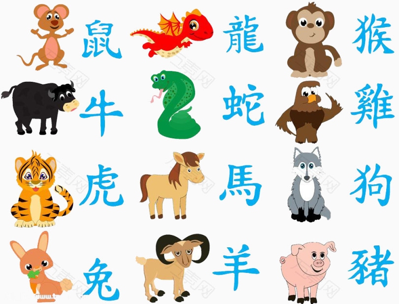 目光如豆，猜一生肖—智慧之光的探寻插图