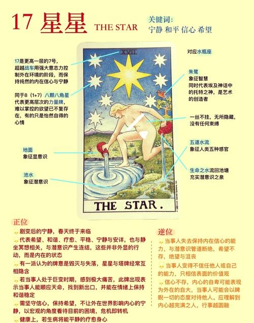 美国神婆苏珊米勒，占星术与人生解读插图