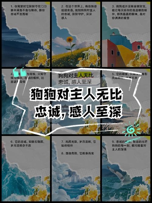 梦回白犬，探寻内心深处的纯真与忠诚插图