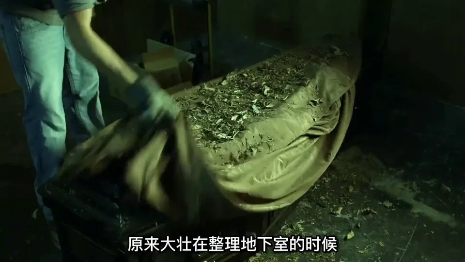 梦回幽冥，解析梦见棺材与死人的深层含义插图