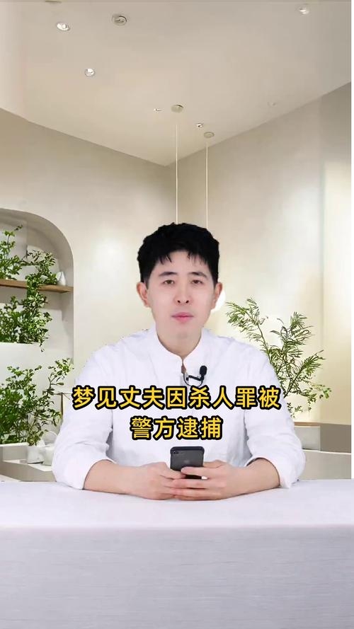 梦见被警察抓，警梦背后的不安与挣扎插图