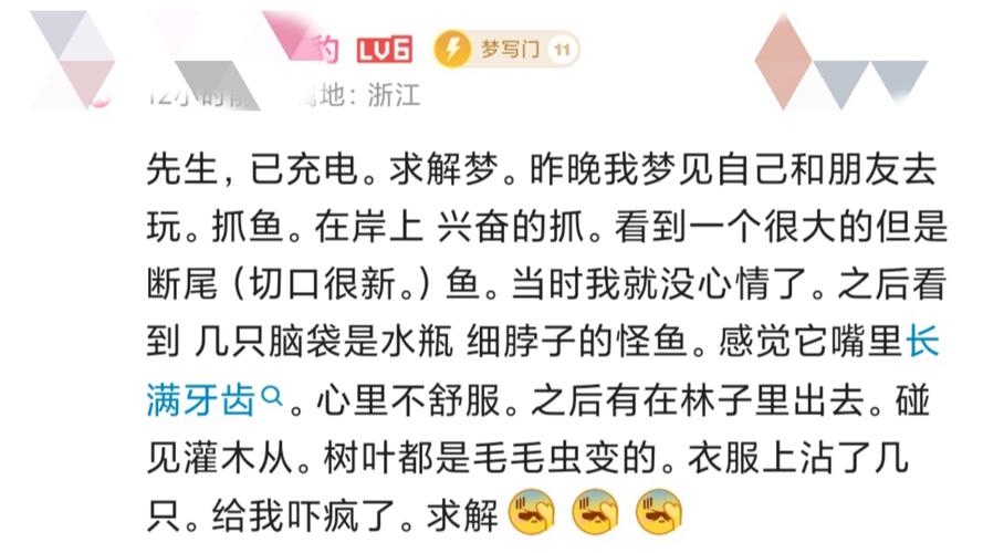 梦见别人捞鱼，梦中窥探他人生活与自我插图